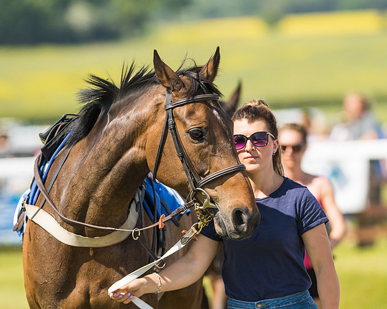 Edgcote Races