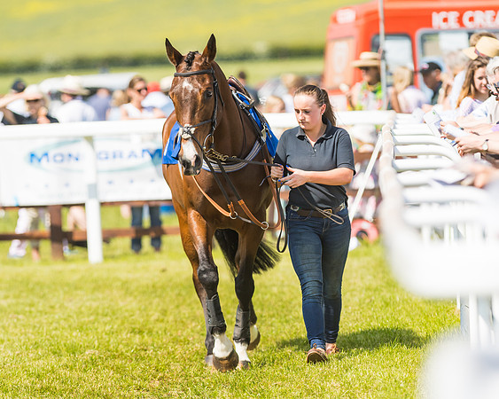 Edgcote Races