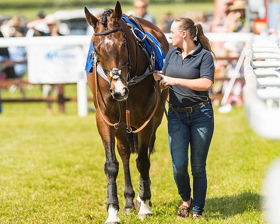 Edgcote Races