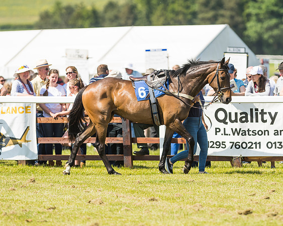 Edgcote Races