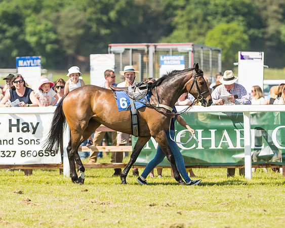 Edgcote Races