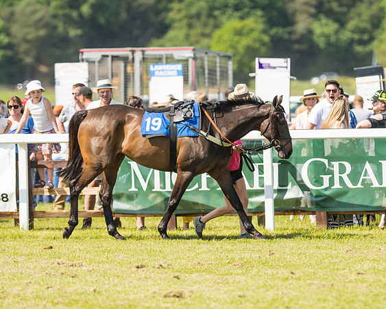 Edgcote Races