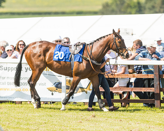 Edgcote Races
