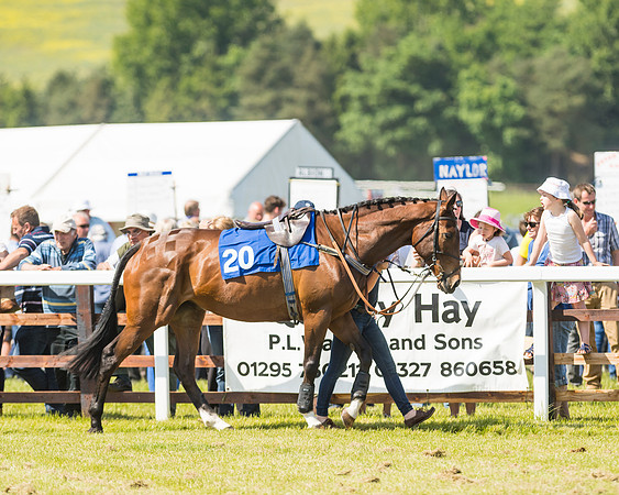 Edgcote Races