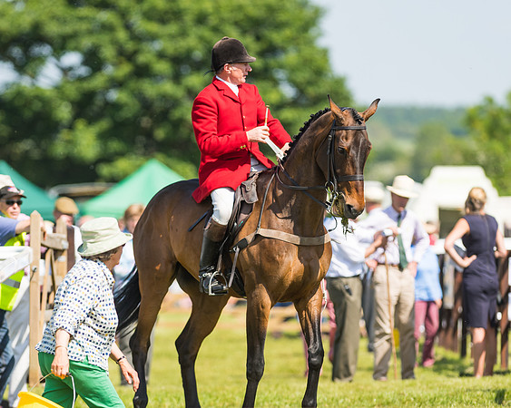 Edgcote Races