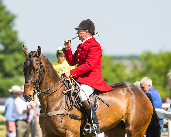 Edgcote Races