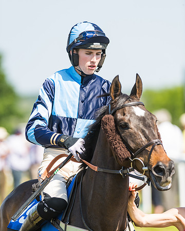 Edgcote Races