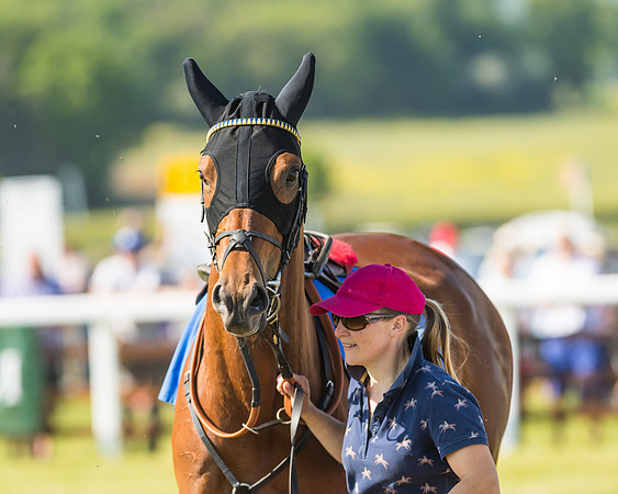 Edgcote Races
