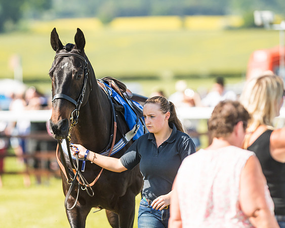 Edgcote Races