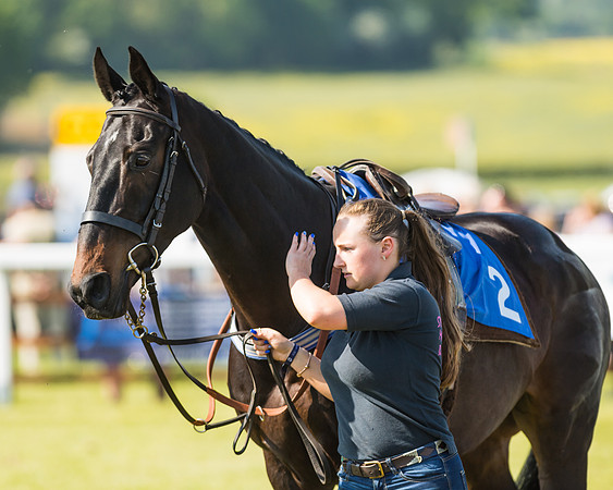 Edgcote Races
