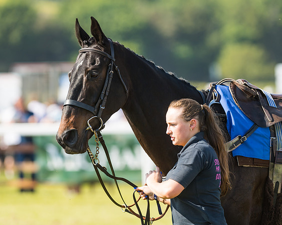 Edgcote Races