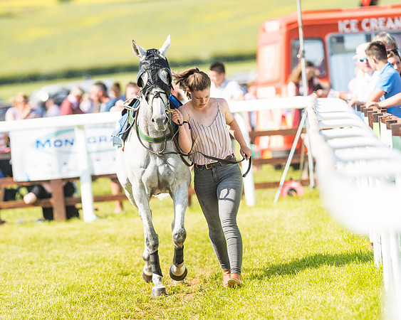 Edgcote Races