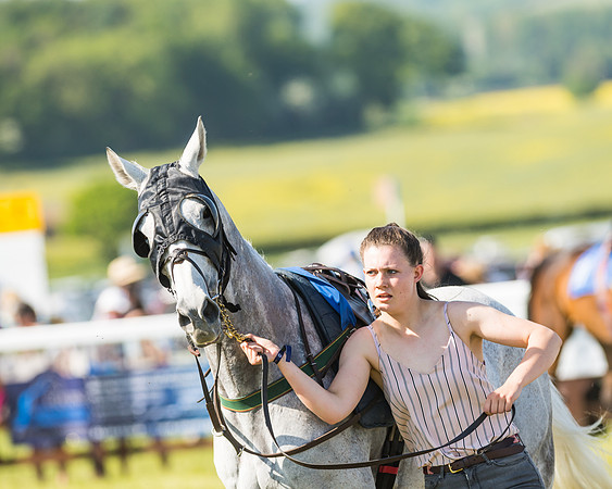 Edgcote Races
