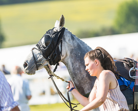 Edgcote Races