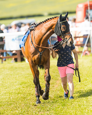 Edgcote Races