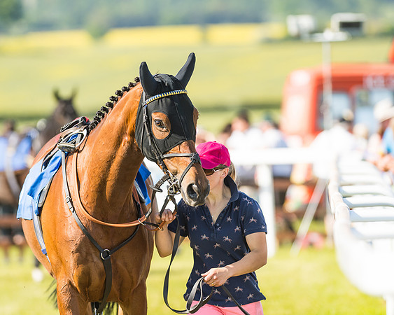 Edgcote Races
