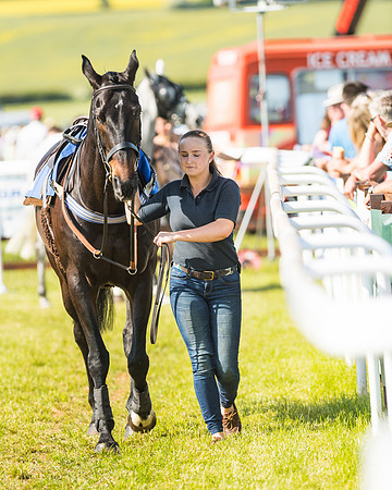 Edgcote Races