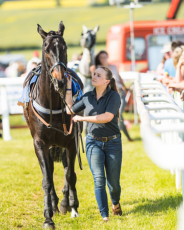 Edgcote Races