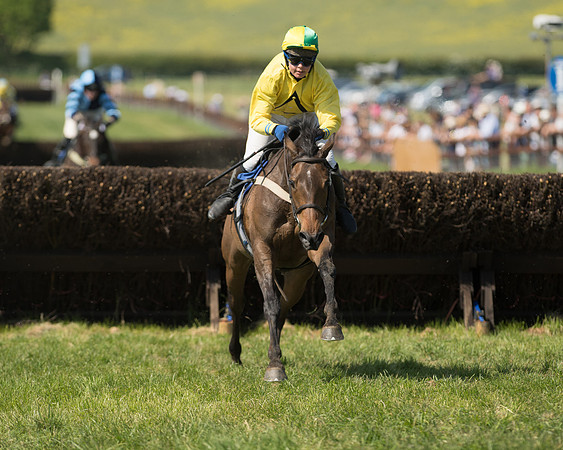Edgcote Races
