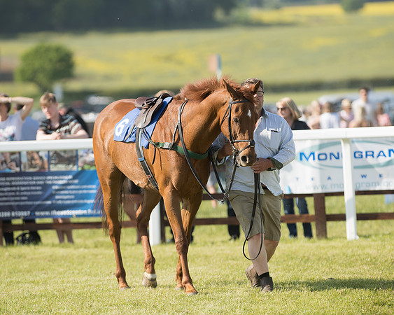 Edgcote Races