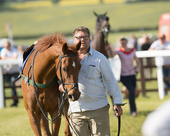 Edgcote Races
