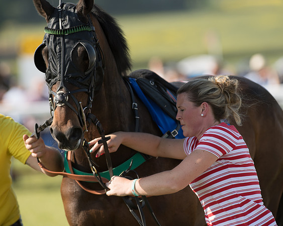 Edgcote Races