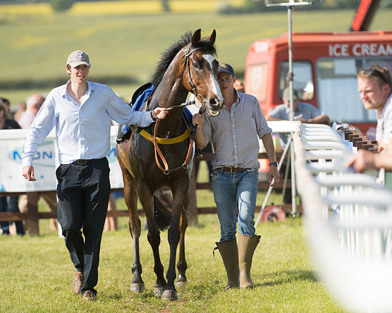 Edgcote Races