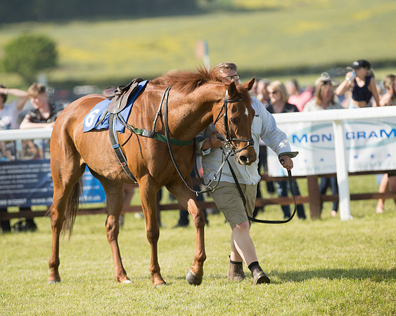 Edgcote Races