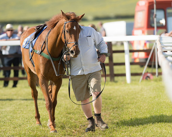 Edgcote Races