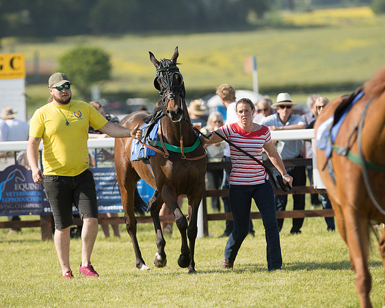 Edgcote Races