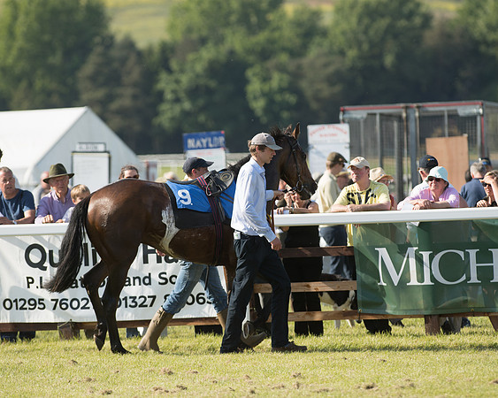 Edgcote Races