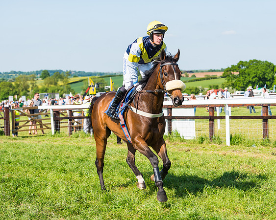 Edgcote Races