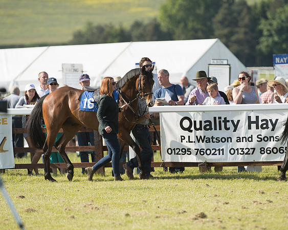 Edgcote Races