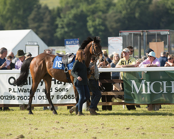 Edgcote Races