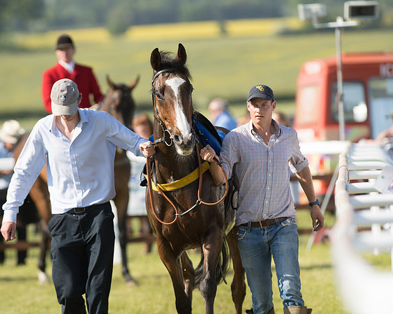 Edgcote Races