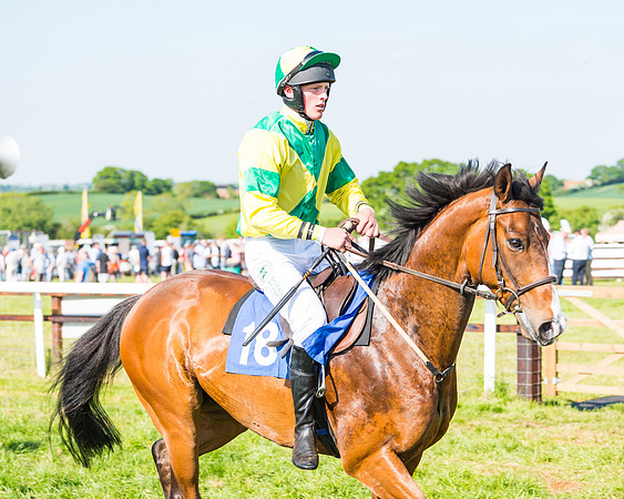 Edgcote Races