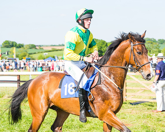 Edgcote Races