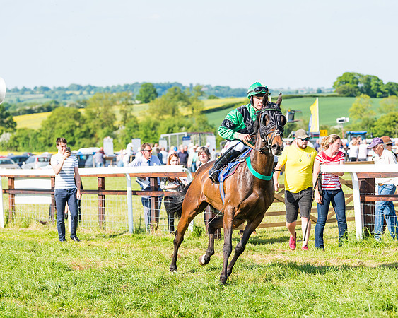 Edgcote Races