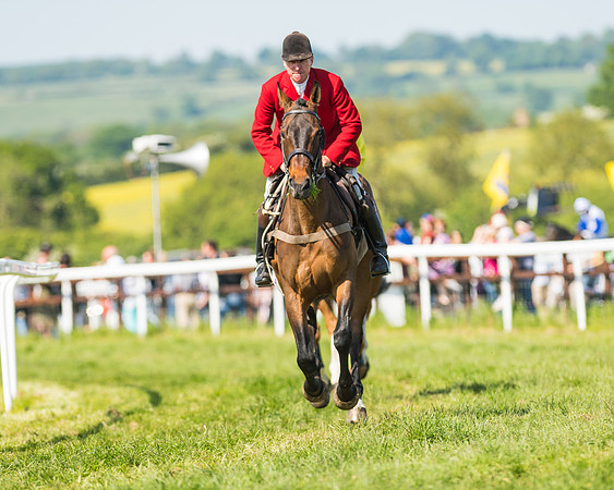 Edgcote Races