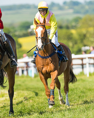 Edgcote Races