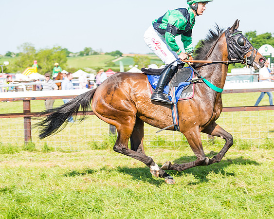 Edgcote Races