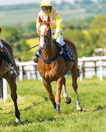 Edgcote Races