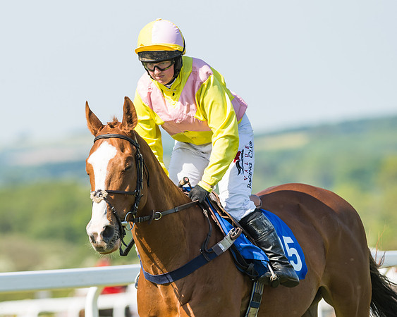 Edgcote Races