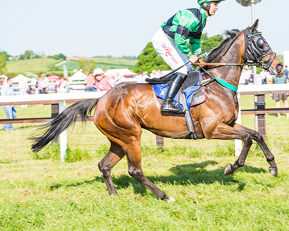 Edgcote Races