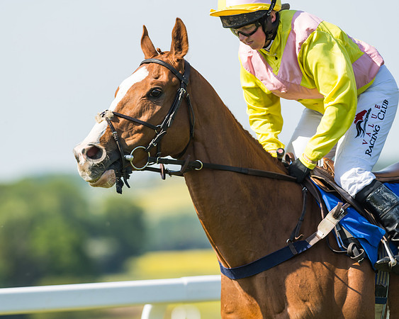 Edgcote Races