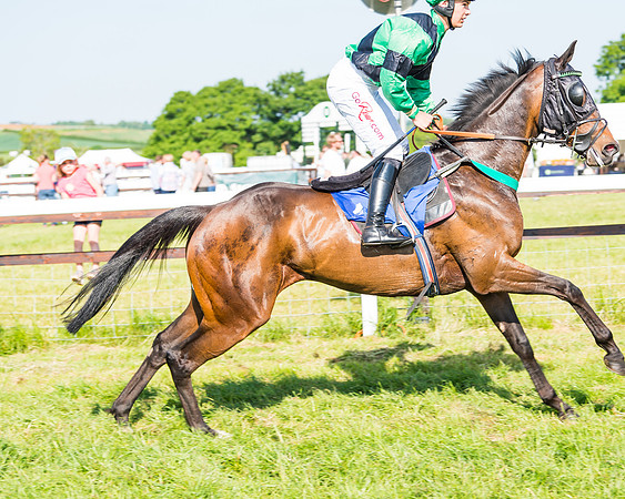 Edgcote Races