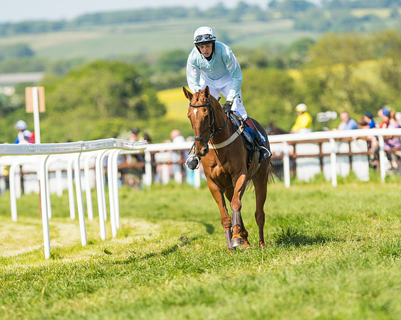 Edgcote Races