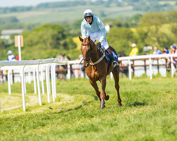 Edgcote Races