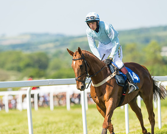 Edgcote Races