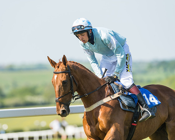 Edgcote Races